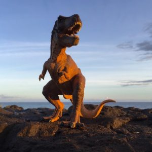 Lire la suite à propos de l’article 10 faits surprenants sur le Velociraptor