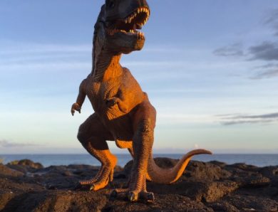 10 faits surprenants sur le Velociraptor
