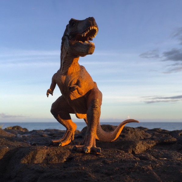 10 faits surprenants sur le Velociraptor