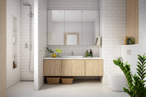 Comment choisir les équipements muraux de salle de bain ?